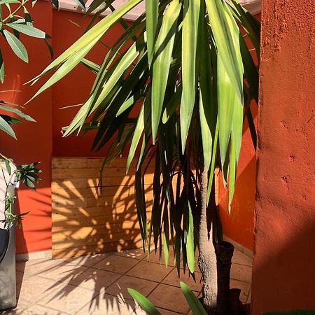 Villa Coyoacan Мехико Экстерьер фото