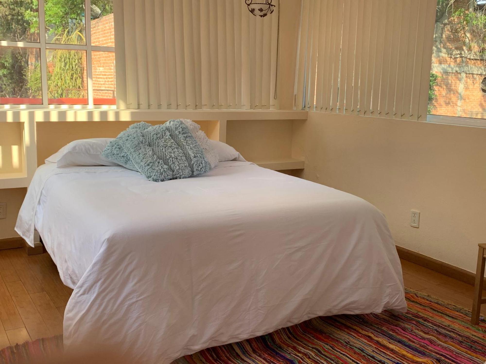 Villa Coyoacan Мехико Экстерьер фото
