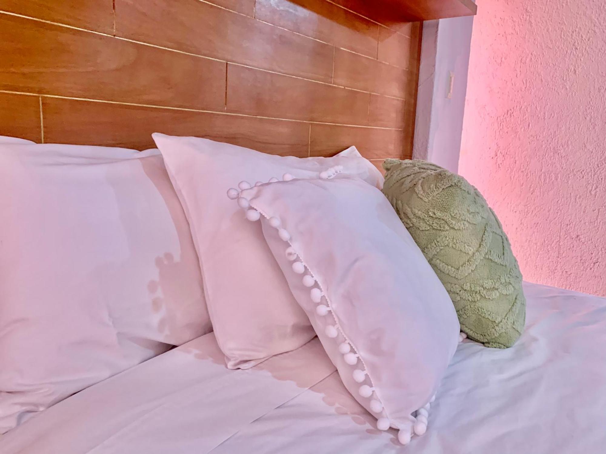 Villa Coyoacan Мехико Экстерьер фото