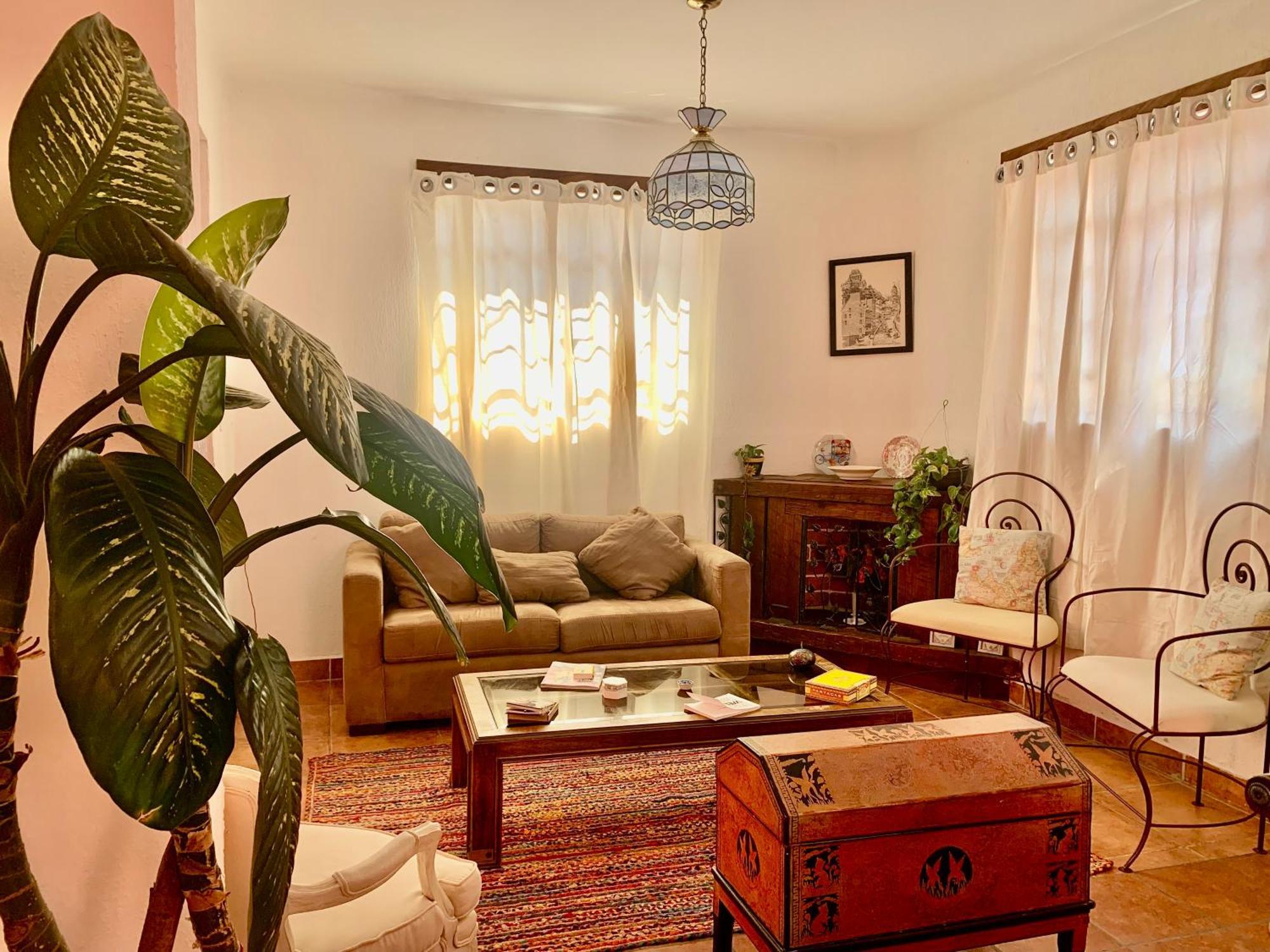 Villa Coyoacan Мехико Экстерьер фото