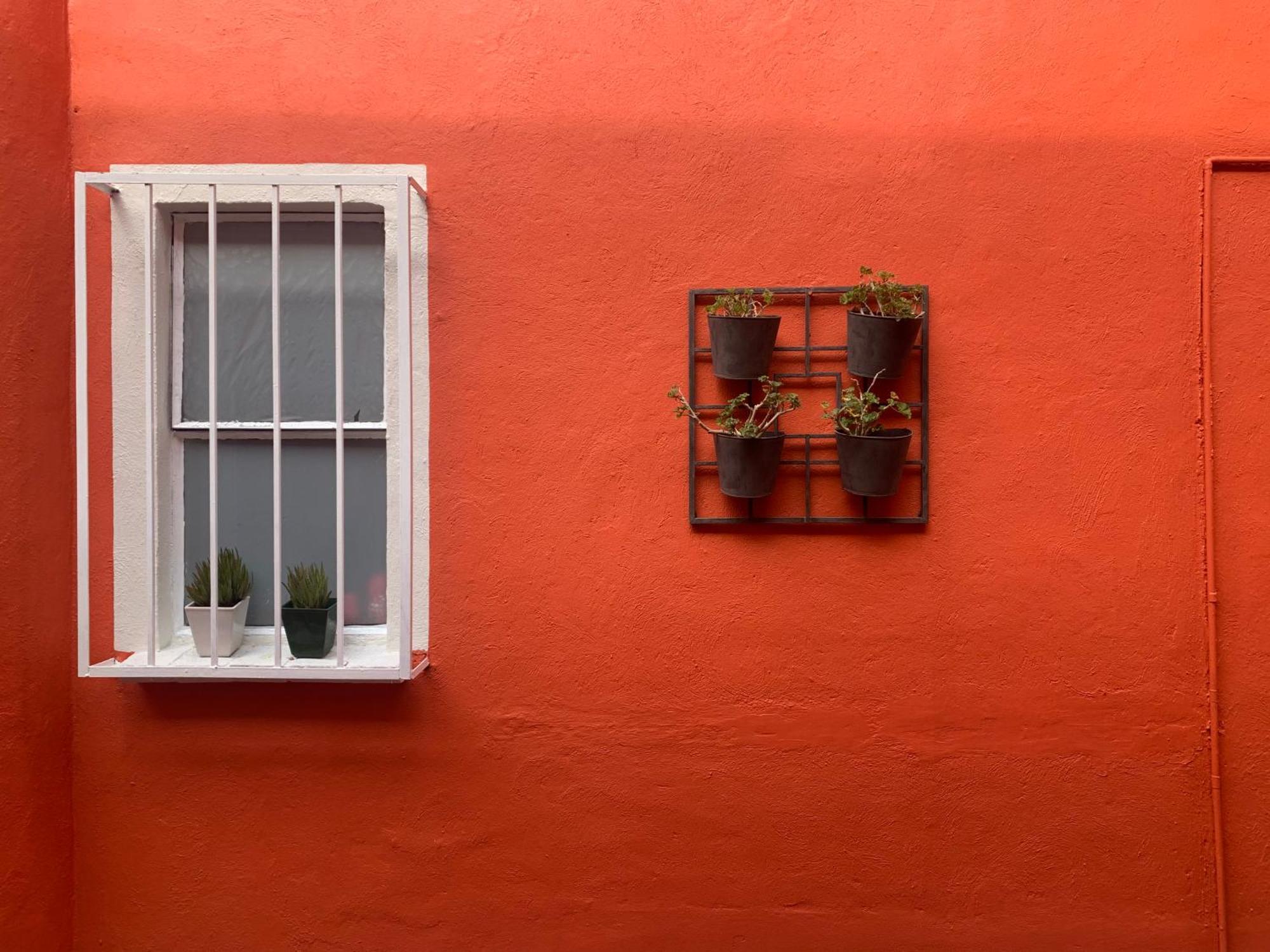 Villa Coyoacan Мехико Экстерьер фото