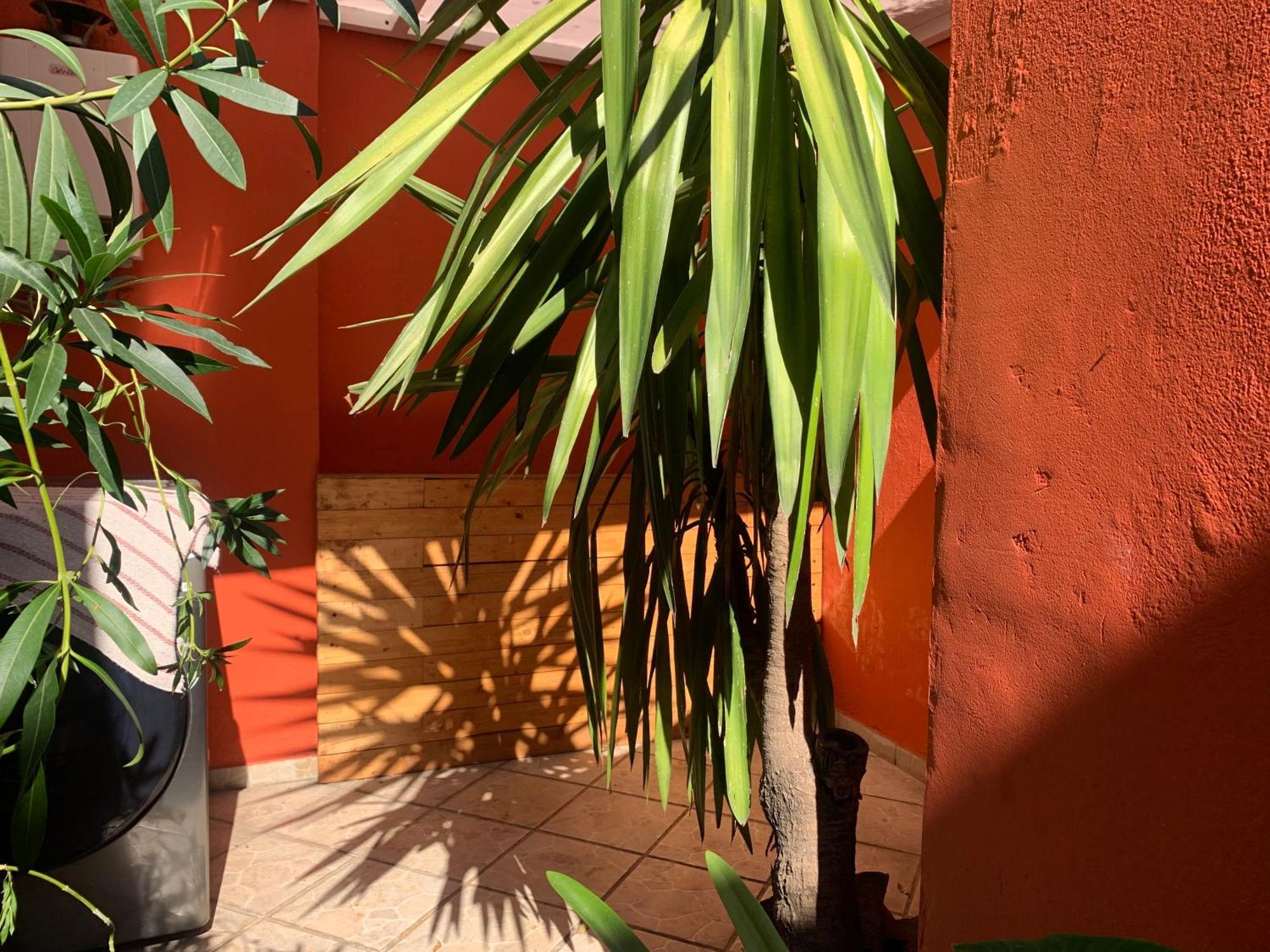 Villa Coyoacan Мехико Экстерьер фото