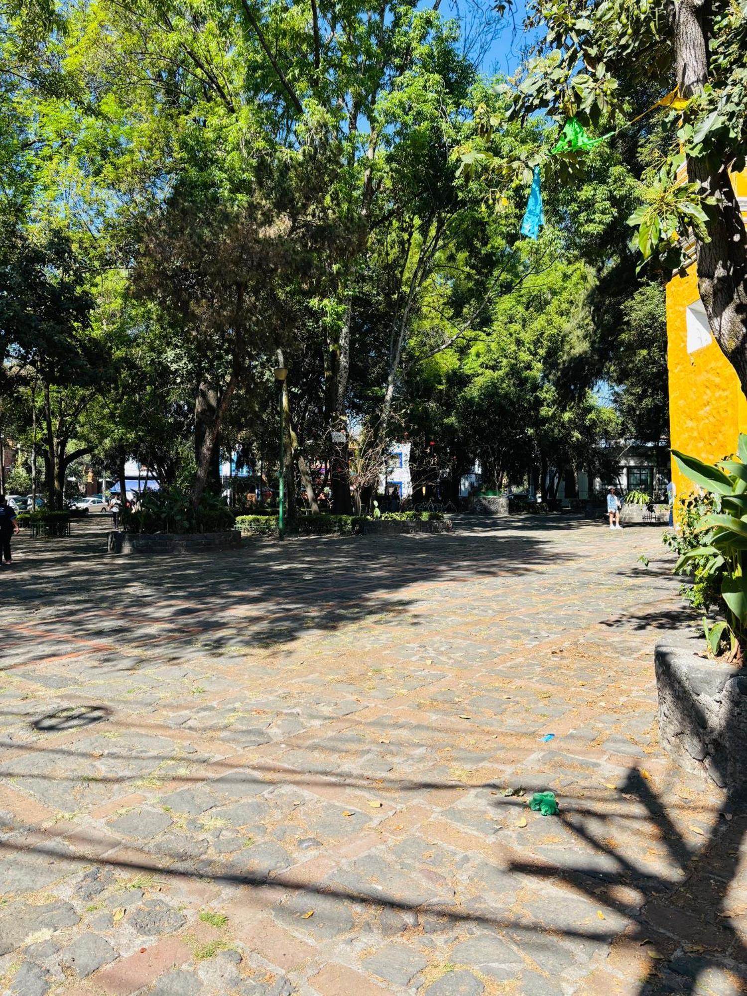 Villa Coyoacan Мехико Экстерьер фото